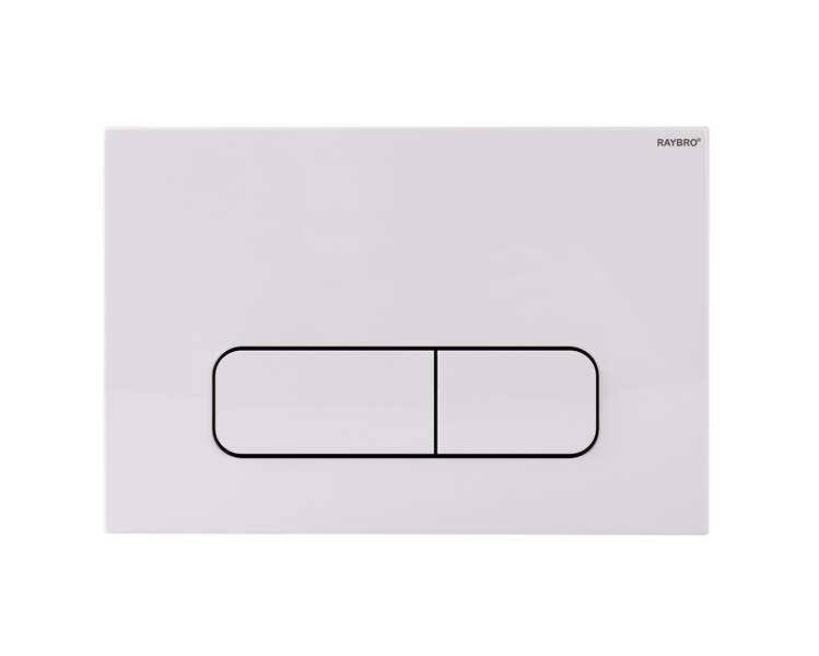 RAYBRO Logo auf einer Betätigungsplatte für die Spülung eines WCs