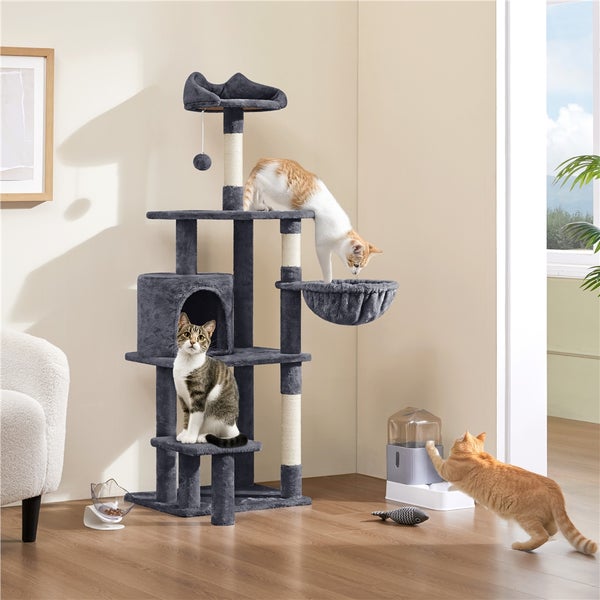 Katzenkratzbaum mit mehreren Ebenen, Katzen und Zubehör in einem Wohnraum