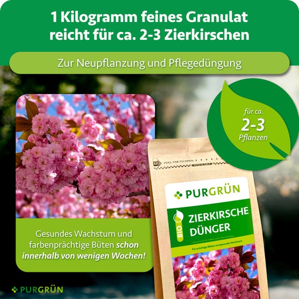 Purgrün Zierkirschendünger als feines Granulat im wiederverschließbaren Beutel für Neupflanzung und Pflegedüngung von zwei bis drei Zierkirschen.