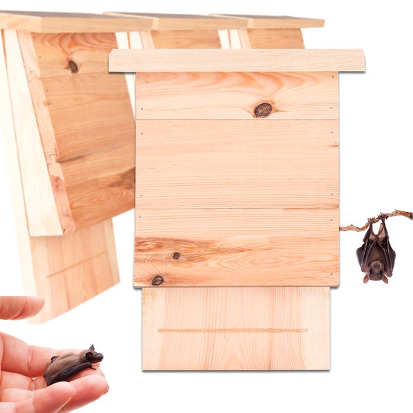 Fledermauskasten aus Holz mit Fledermaus
