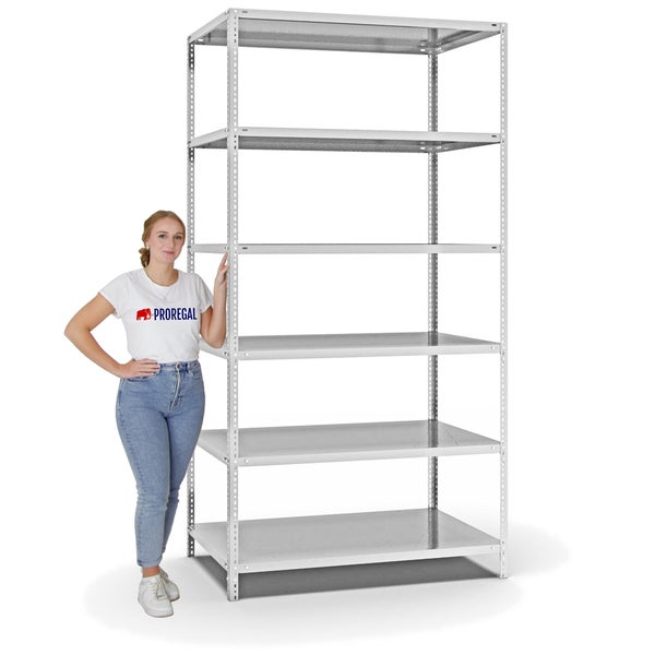 PROREGAL Fachbodenregal Schraubsystem Medium-Duty Grundregal HxBxT 250 x 130 x 80 cm 6 Ebenen Fachlast 200 kg Beidseitig Nutzbar Lichtgrau