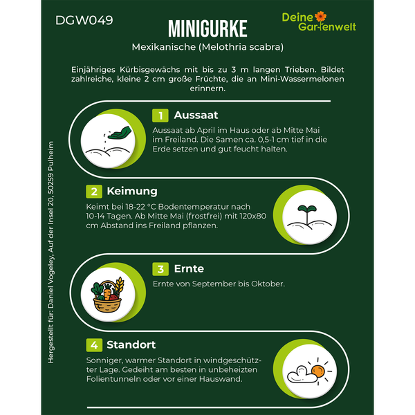 Infografik zur Anzucht der Mexikanischen Minigurke mit Tipps zu Aussaat, Keimung, Ernte und Standort sowie Deine Gartenwelt Logo.