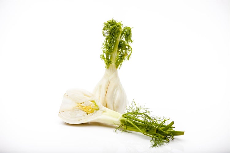 Foeniculum vulgare, Fenchel, aromatisch, ca. 9x9 cm Topf