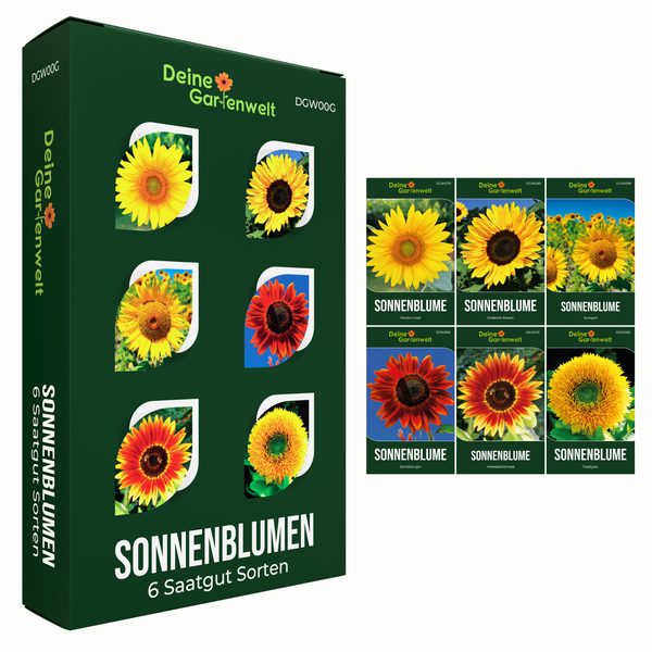 Deine Gartenwelt Sonnenblumen-Samen-Set mit 6 verschiedenen Sorten, darunter Pacino Gold, Einfache Riesen, Sunspot, Samtkönigin und Teddybär.