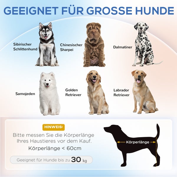 PawHut Hundesofa, Hundebett, Hundesessel mit Erhöhtem Design, Hundecouch mit Holzbeine, Haustiersofa mit Kissen, Katzensofa für große Hunde, 98 x 67 x 25 cm, Grün