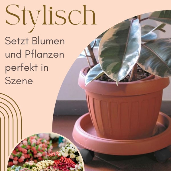 Blumentopf mit Rollen und Pflanze