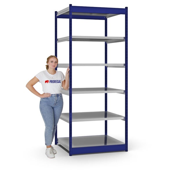 PROREGAL Fachbodenregal Stecksystem Vierkant-Profil Grundregal HxBxT 250 x 102,5 x 80 cm 6 Ebenen Einseitige Bauart Fachlast 200 kg Enzianblau