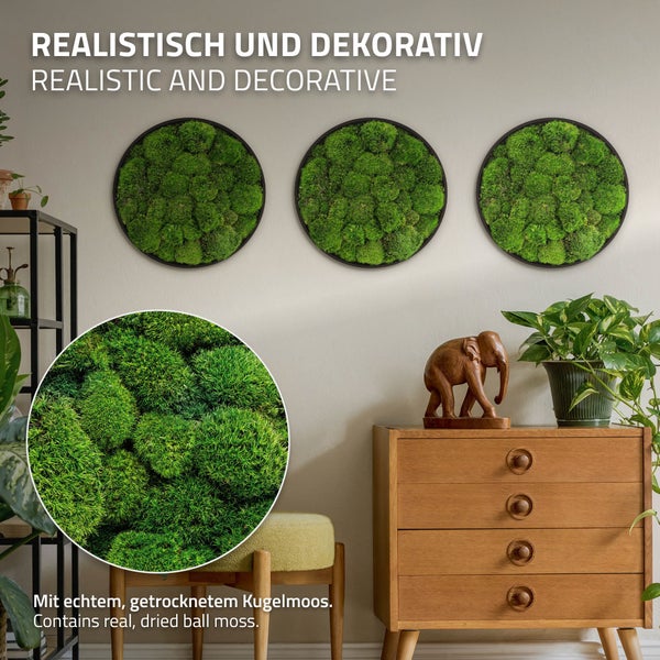 Drei runde Wandbilder mit echtem getrockneten Kugelmoos in einer modernen Inneneinrichtung mit Holzkommode und Dekoration