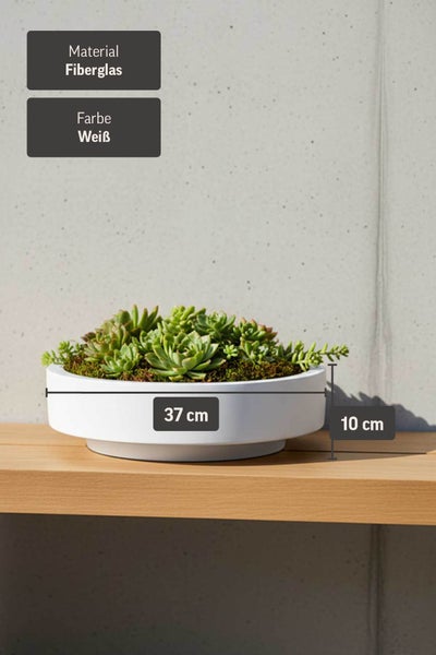 Weiße Pflanzschale aus Fiberglas, Durchmesser 37 Zentimeter und Höhe 10 Zentimeter, bepflanzt mit Sukkulenten.