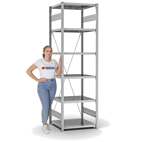 PROREGAL Fachbodenregal Stecksystem T-Profil Light-Duty Grundregal HxBxT 250 x 75 x 60 cm 6 Ebenen Fachlast 140 kg Einseitig Nutzbar Verzinkt