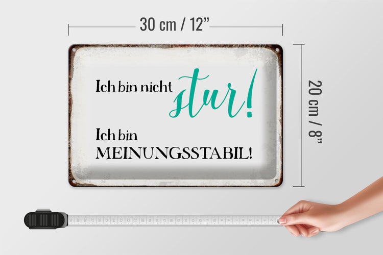 Blechschild Spruch 30x20cm bin nicht stur meinungsstabil