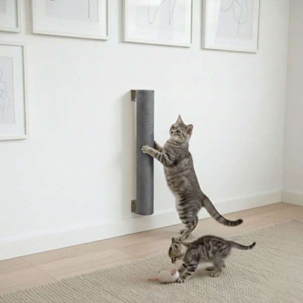 Katze kratzt an einem an der Wand montierten Kratzstamm, während ein Kätzchen auf dem Boden mit einem Spielzeug spielt.