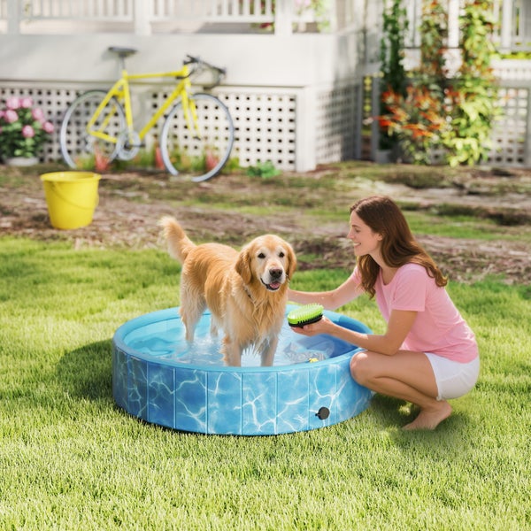 Frau bürstet Hund in einem blauen Planschbecken im Garten.