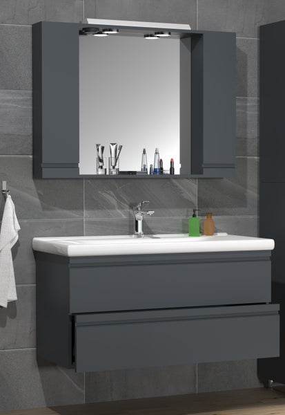 Badezimmer mit Waschbeckenunterschrank, Waschbecken und Spiegelschrank