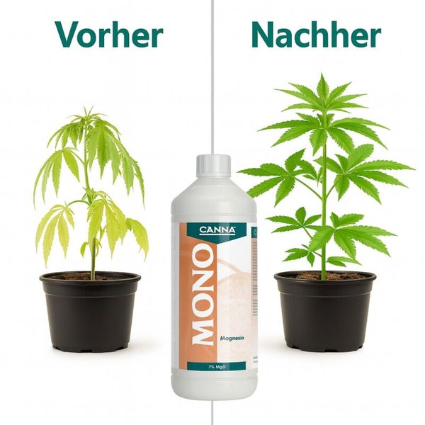 Vergleichsbild für Canna Mono Magnesia Pflanzendünger mit einer Pflanze vor und nach der Anwendung des Flüssigdüngers in einer Kunststoffflasche.