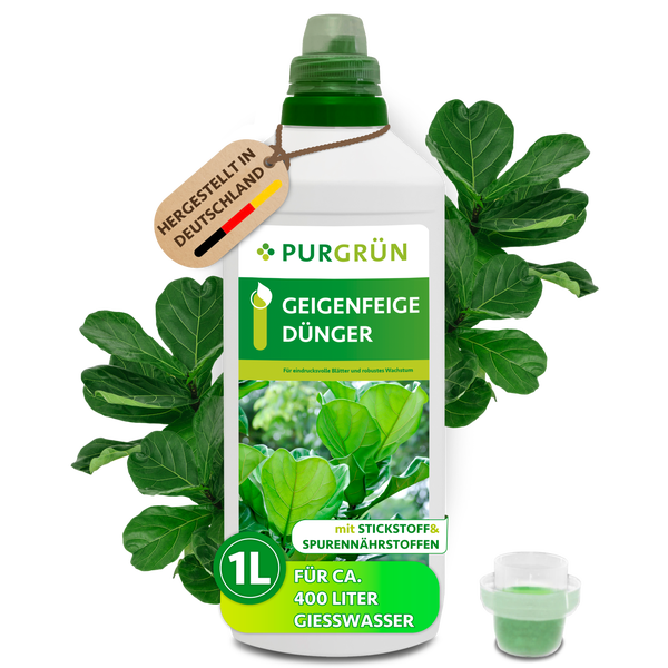 Purgrün Geigenfeige Dünger in einer 1 Liter Flasche mit Messkappe für gesundes Pflanzenwachstum.