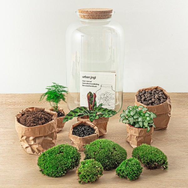 Terrarium-Set mit Glasbehälter, Korkdeckel, Pflanzen, Erde, Substrat, Moos und Anleitung