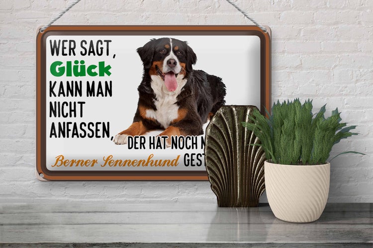 Blechschild Spruch 30x20cm wer sagt Glück Berner Sennenhund