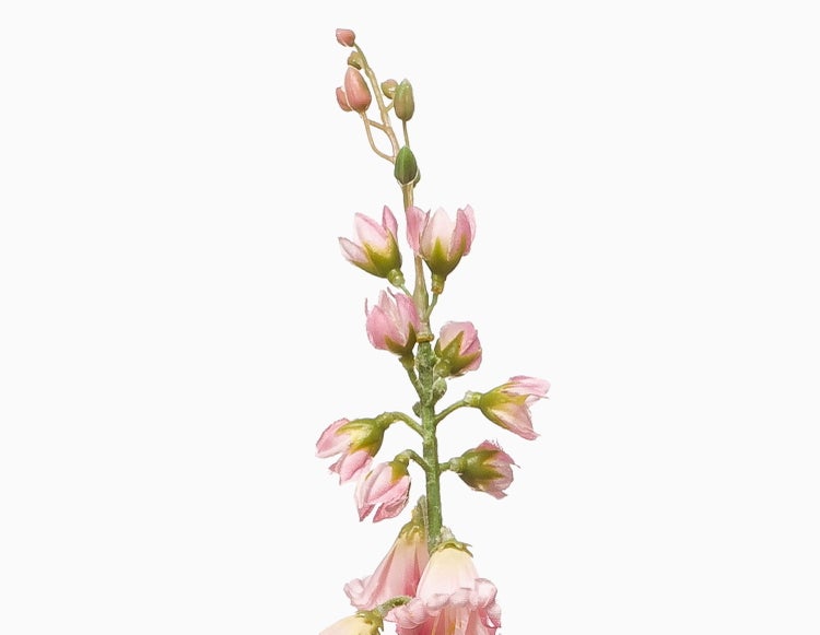 Künstliche Glockenblume mit blauen Blüten und grünen Stielen.