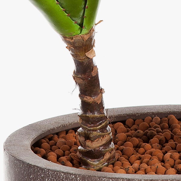 Künstliche Aloe Vera Pflanze mit dicken, gezackten Blättern und braunem Stiel.