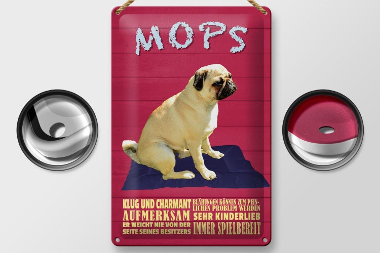 Blechschild Spruch 20x30cm Mops Hund klug und charmant