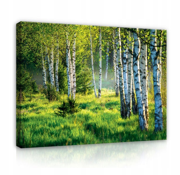 Bilder Wald Natur Modern Leinwandbild Wohnzimmer 100X70 cm