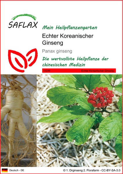SAFLAX  - Echter Koreanischer Ginseng - Panax ginseng - 10 Samen