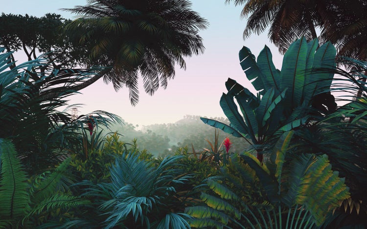 Dschungel-Szene mit üppiger Vegetation und tropischer Atmosphäre