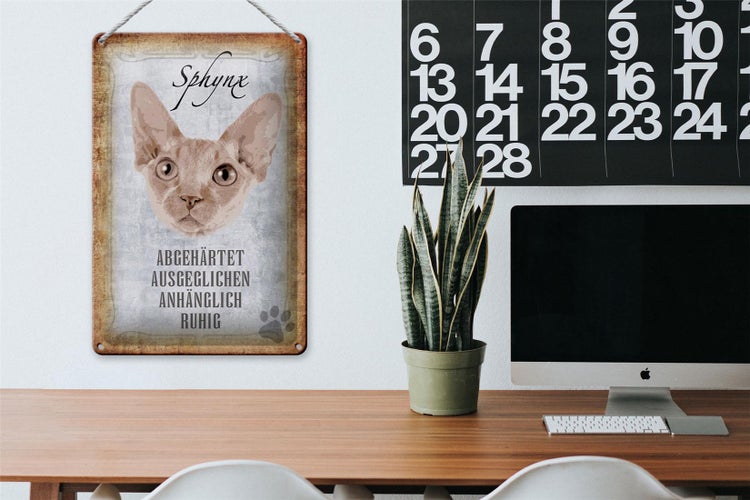 Blechschild Spruch 20x30cm Sphynx Katze Schild deko