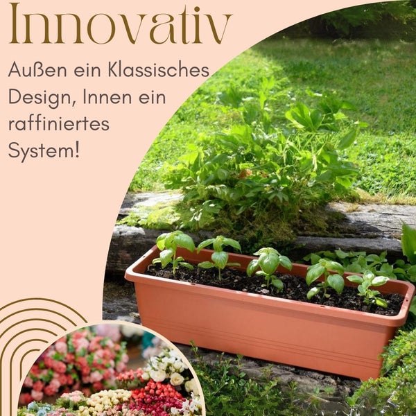 Rechteckiger Pflanzkasten mit Basilikumsetzlingen im Garten