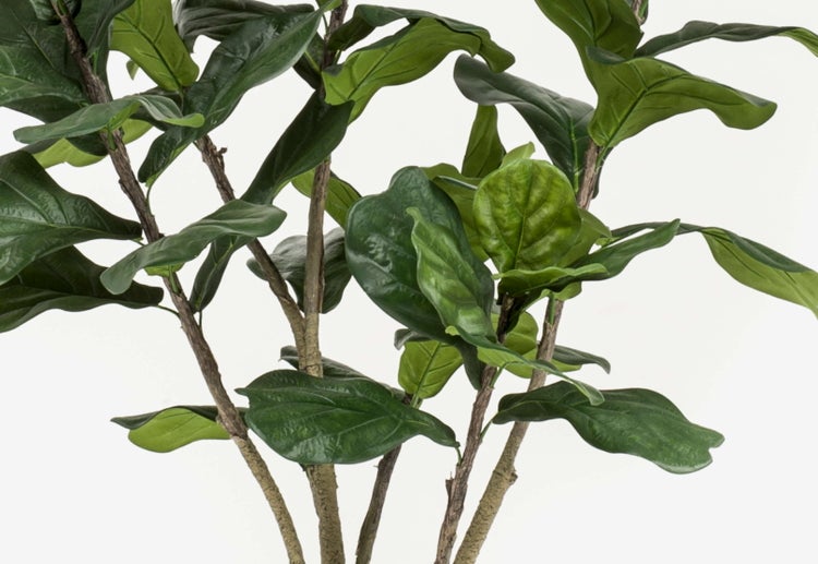 Künstliche Geigenfeige mit großen grünen Blättern und strukturierten braunen Zweigen in der Nahaufnahme.