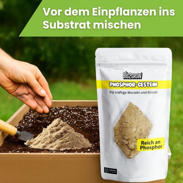 Phosphor-Gestein zur Substrat Mischung und ein Behälter mit Erde