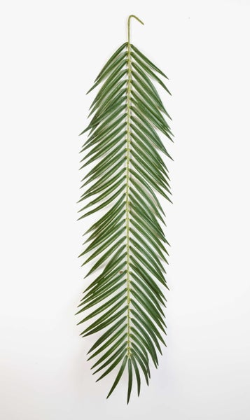 Künstlicher Palmzweig mit vielen schmalen grünen Blättern und einem gebogenen Stielende.