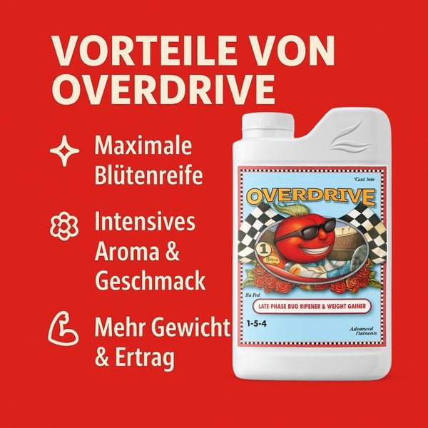 Overdrive Pflanzennährstoff für maximale Blütenreife, intensives Aroma und Geschmack sowie mehr Gewicht und Ertrag