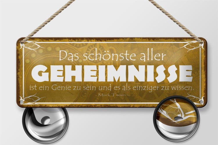 Blechschild Spruch 27x10cm Genie sein und einzige wissen Dekoration