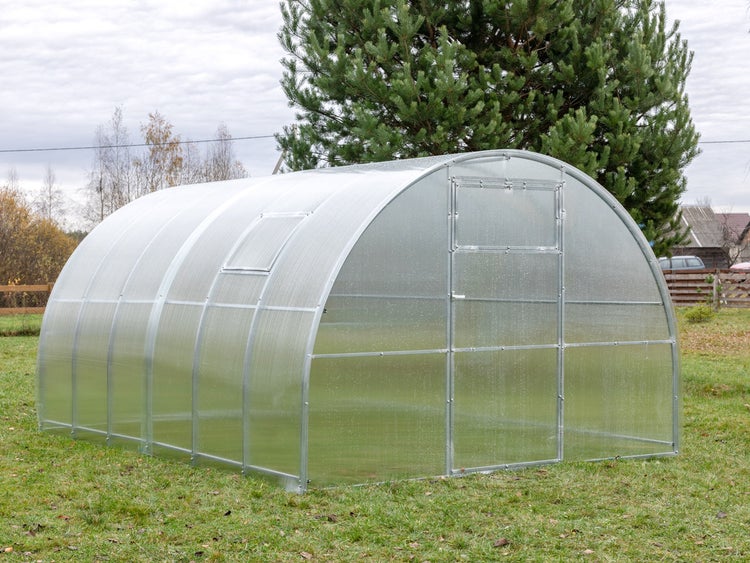 Gewächshaus mit Tür und Fenster im Garten