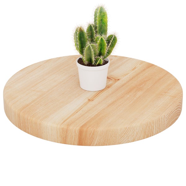 Rundes Holzbrett aus Massivholz mit einem kleinen Kaktus im weißen Topf auf der Oberfläche.