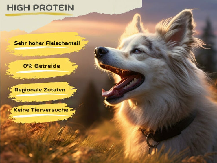 High Protein (1 x 14,5 kg) getreidefreies Trockenfutter | Sehr hoher Fleischanteil 70% | Muskelfleisch | Lachs, Rind und Geflügel mit Kartoffel & Lachsöl