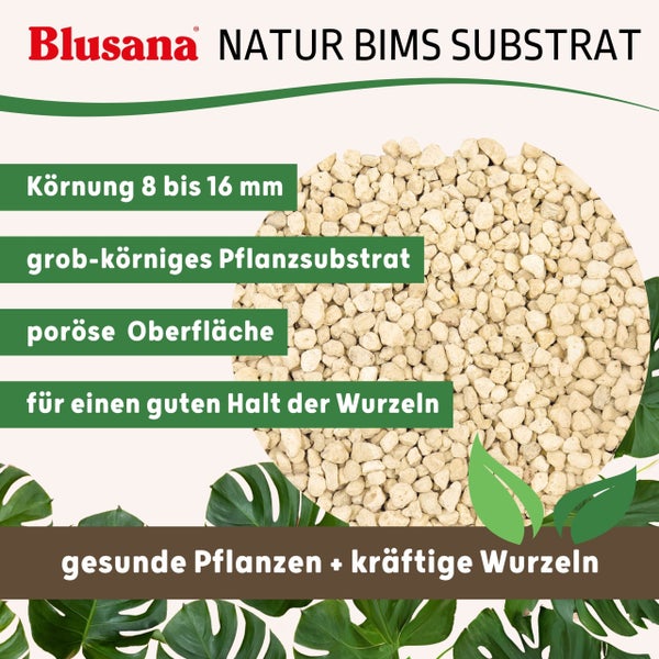 Blusana Bimsstein Pflanzsubstrat für Pflanzen natürliches  Vulkangestein mineralisches Bims Granulat grobe Körnung 8-16 mm Hydrokultur Drainage Dekor