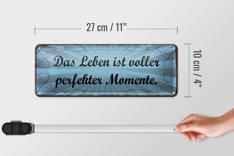 Blechschild Spruch 27x10cm Leben voller perfekter Momente Dekoration