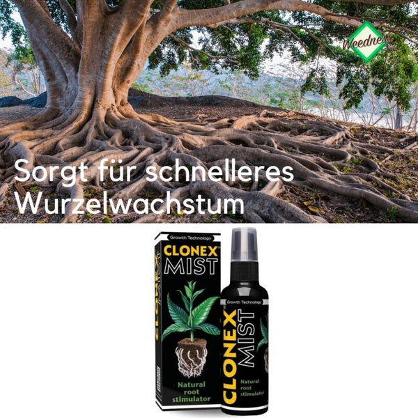 Clonex Mist 750 ml – Schnelles, kräftiges Wurzelwachstum für Stecklinge | Bewurzelungshormon & Wachstumsförderer