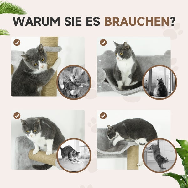 Collage mit verschiedenen Ansichten einer Katze an einem Katzenbaum