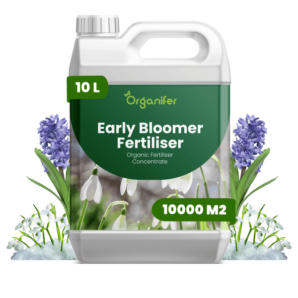 Organifer Early Bloomer organischer Dünger als Konzentrat für Frühblüher, 10 Liter Kanister für 10000 Quadratmeter, Organifer Logo.