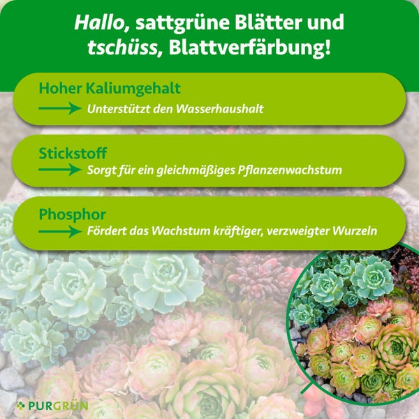 Teppich mit Planetenmuster für Kinderzimmer