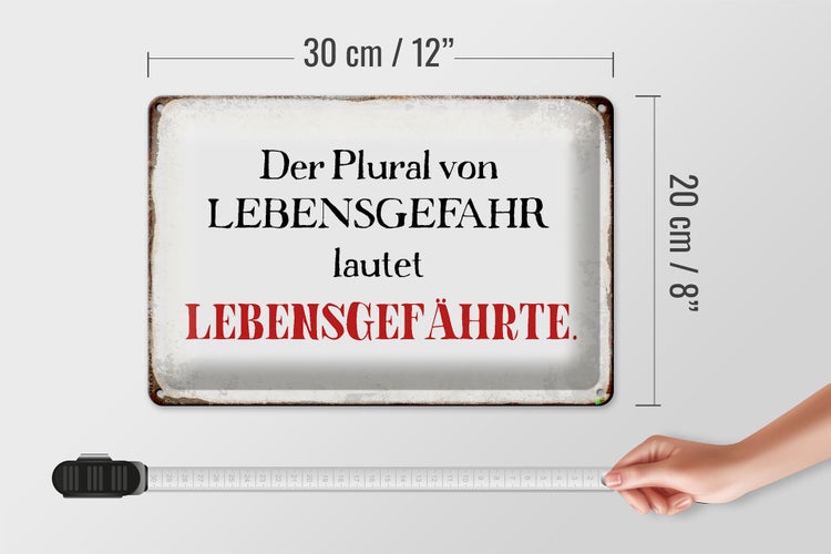 Blechschild Spruch 30x20cm plural von Lebensgefahr lautet
