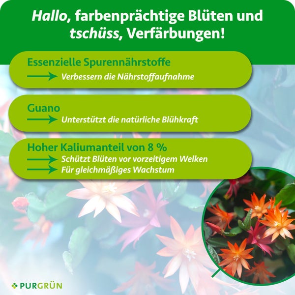 Infografik zu Pflanzendünger mit Erläuterung der Vorteile von Spurennährstoffen, Guano und 8 Prozent Kalium für Blühkraft sowie Purgrün Logo.