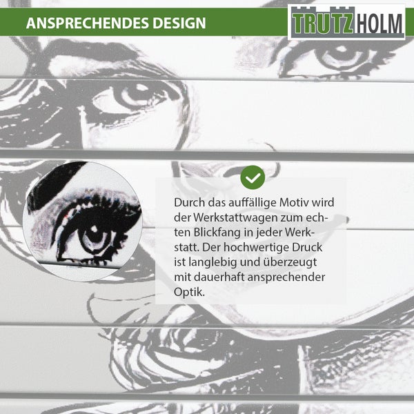 Trutzholm Werkstattwagen mit langlebigem Comic Motiv Design auf der Vorderseite inklusive Trutzholm Logo.