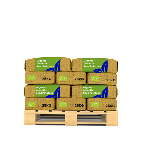 Steinbach Handschrubber 2er-Packung für Poolzubehör