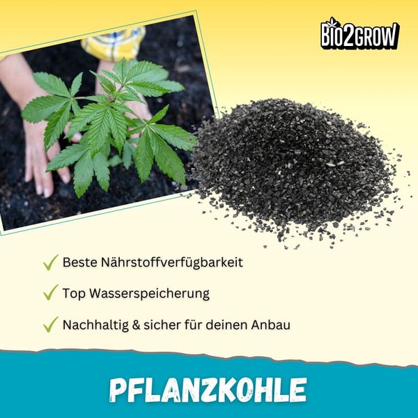 Pflanzerde mit Pflanzenkohle zur Bodenverbesserung und Nährstoffversorgung