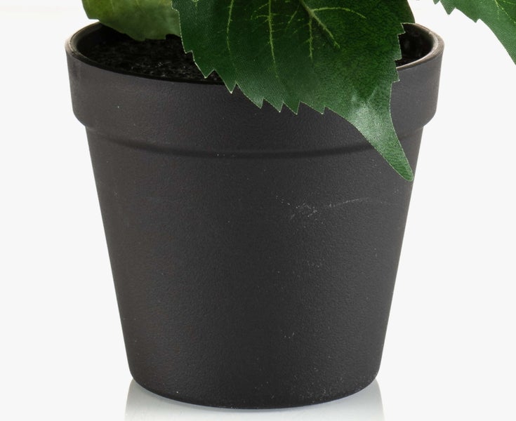 Nahaufnahme der Basis einer Orchidee in einem weißen Topf mit einem Bambusstab zur Unterstützung.